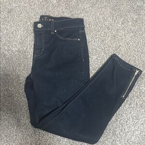 Dark Blue Skinny Jeans with Zipper Detail Jegging Crop Size 0 WHBM